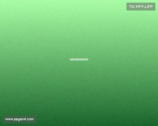 金晨电竞网咖联系方式查询指南